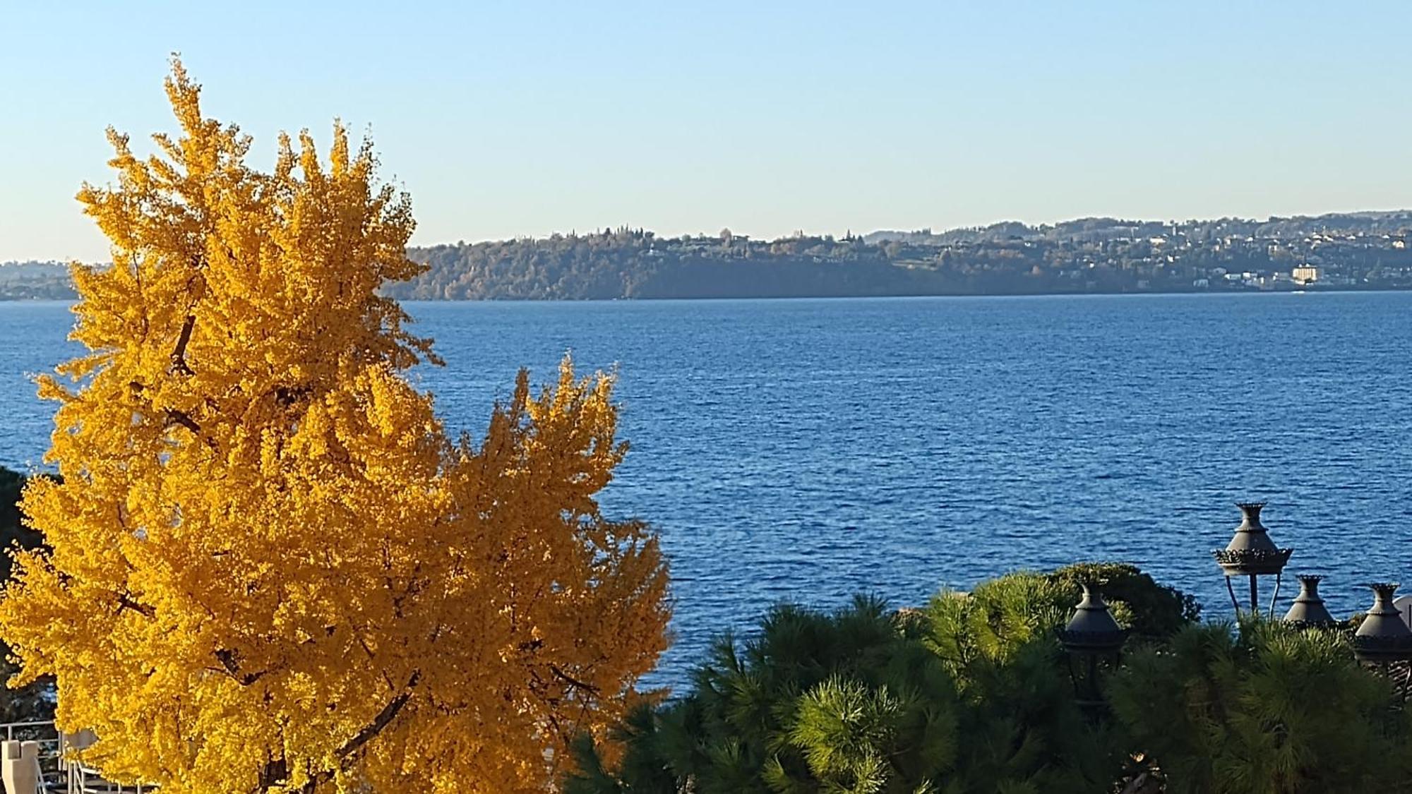 B&B Agora' Gardone Riviera Exteriör bild